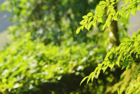 女生节该送什么祝福语 女生节同学祝福