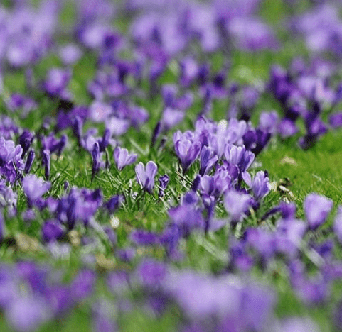 2月14日情人节表白的话真实点的